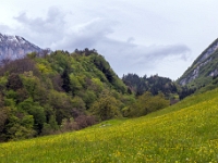 Lago di Tenno
